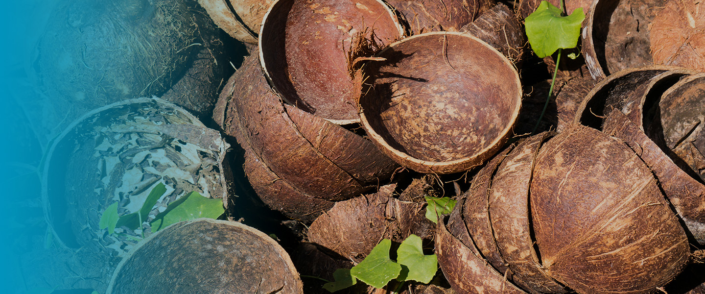 Photo of biomass power plant